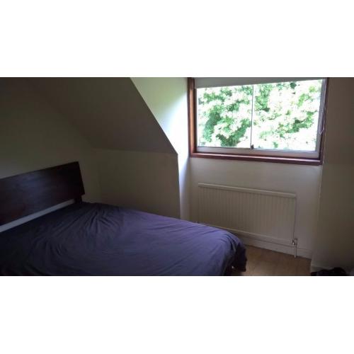 Double Room in Quiet and Friendly House * Wapping / Shadwell (E1W)
