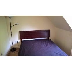 Double Room in Quiet and Friendly House * Wapping / Shadwell (E1W)