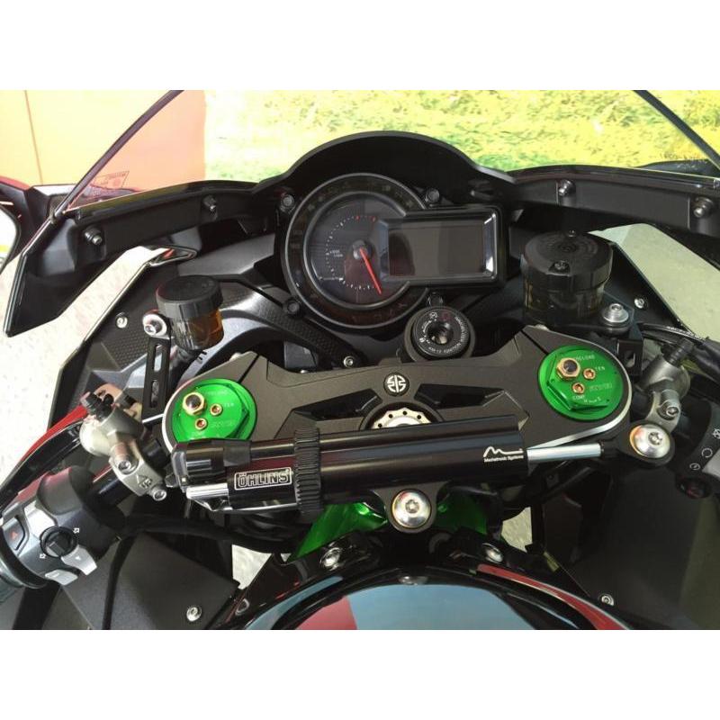 Kawasaki ZX 1000 2015