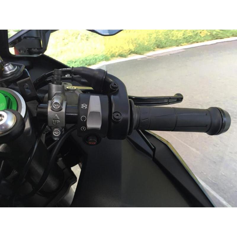 Kawasaki ZX 1000 2015