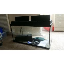 Fish tank