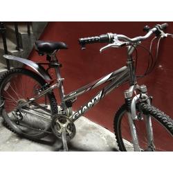giant rock ladies bike xs frame