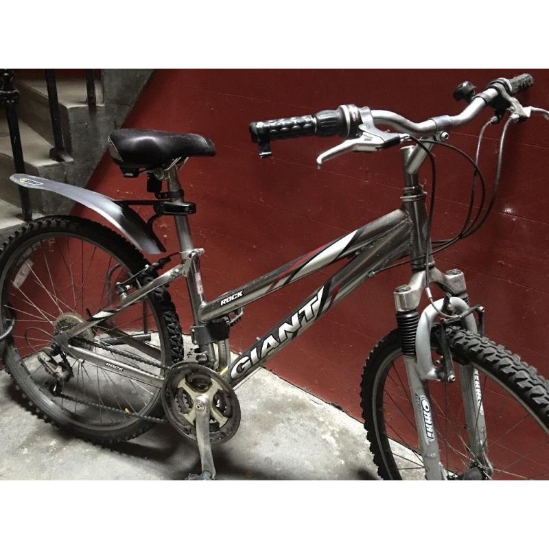 giant rock ladies bike xs frame