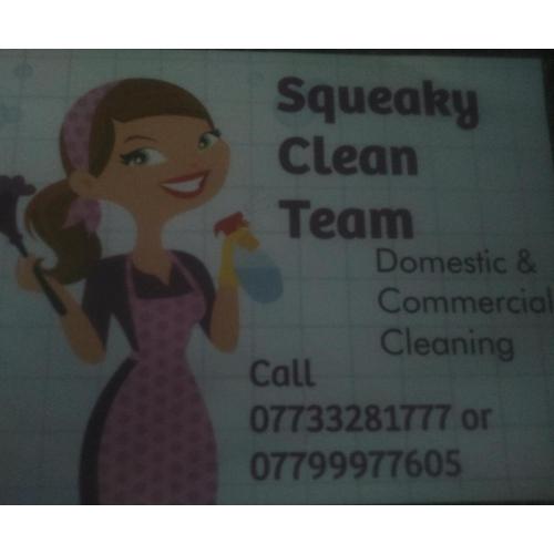 Domestic and commercial cleaning