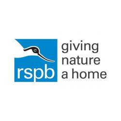 RSPB Pin Badge Volunteer - Rugeley