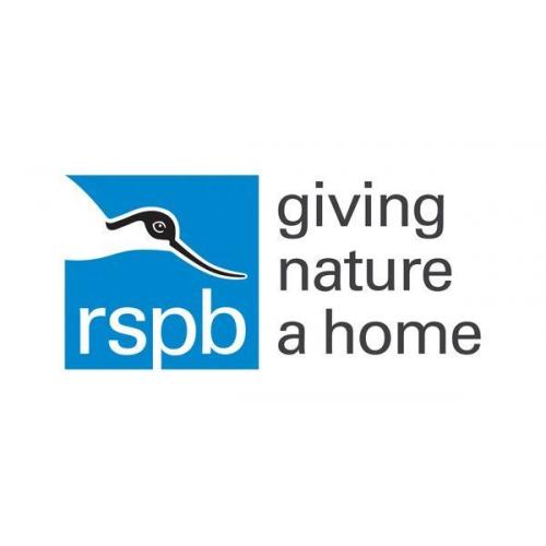 RSPB Pin Badge Volunteer - Rugeley