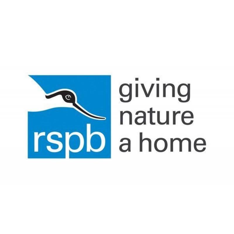 RSPB Pin Badge Volunteer - Rugeley