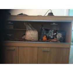 Snake vivarium with stand