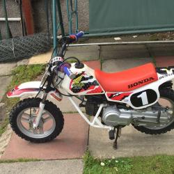 Honda QR 50 same as pw 50
