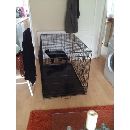 Large dog cage
