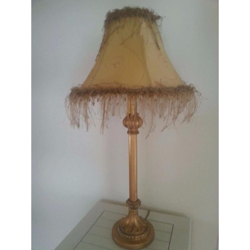 Two beautiful lamps