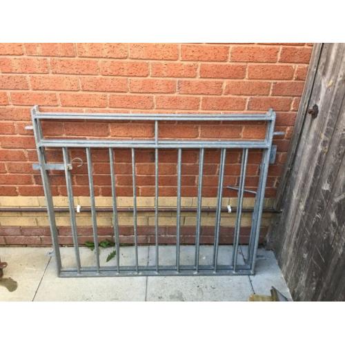 Drive way Gates plus Garden Gate