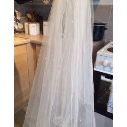 Long wedding veil