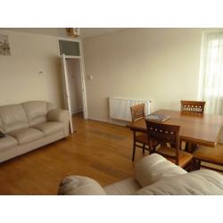 A spacious, beautifully furnished double room in a newly renovated flat - available immediately.