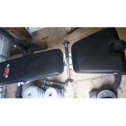 Weights and Bench