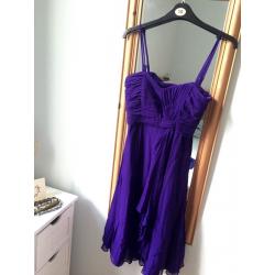 Coast Purple Dress Size 8