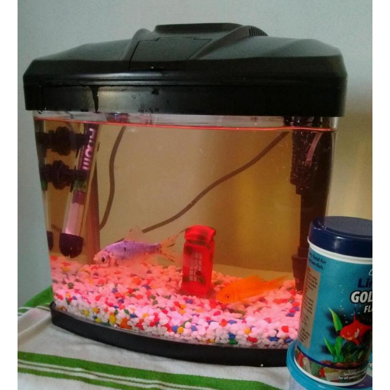 Fish tank 40l