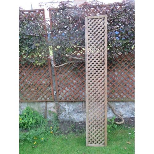 Lattice Low Fence