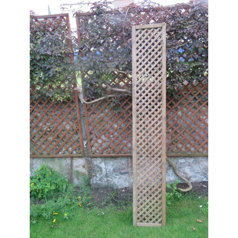 Lattice Low Fence