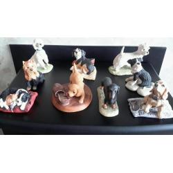 Border fine arts dogs