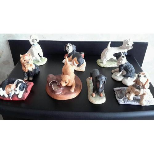 Border fine arts dogs