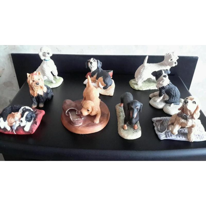 Border fine arts dogs