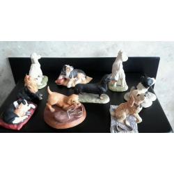 Border fine arts dogs