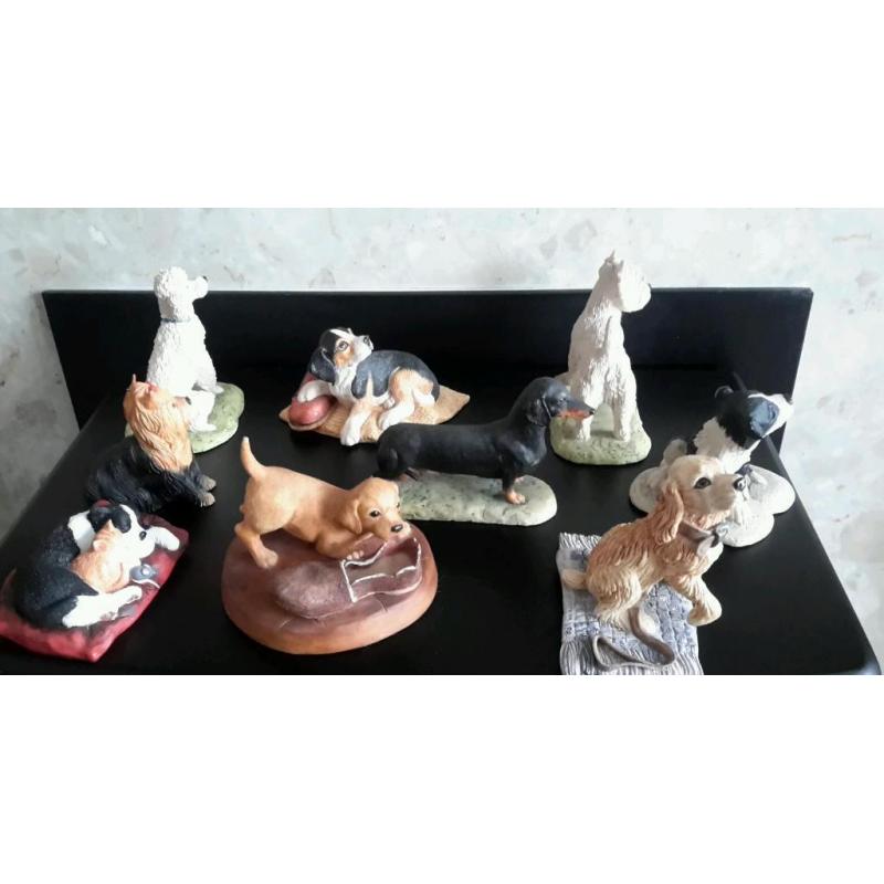 Border fine arts dogs