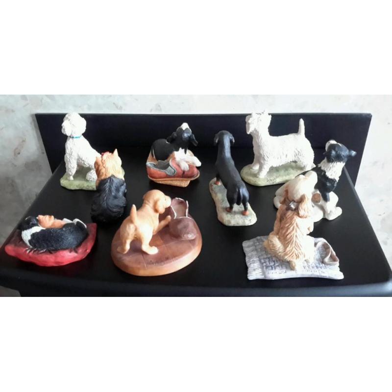 Border fine arts dogs
