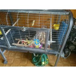 2 bird cages 1 large 1small