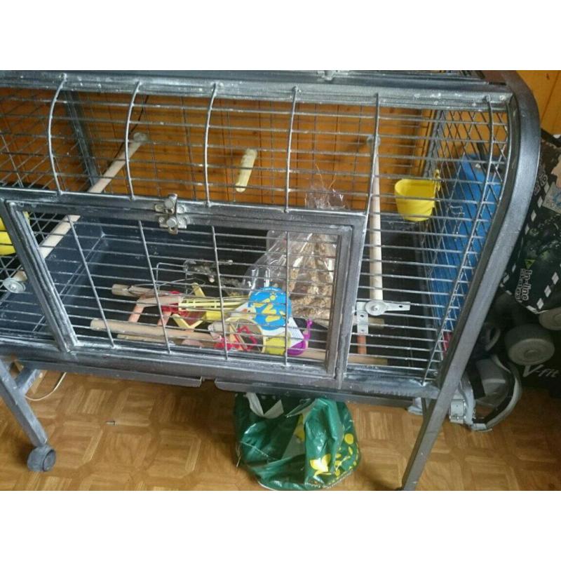 2 bird cages 1 large 1small