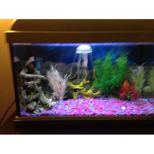 Elite style fish tank a-3581 50x25cm.