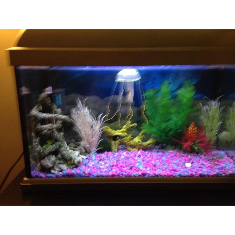 Elite style fish tank a-3581 50x25cm.