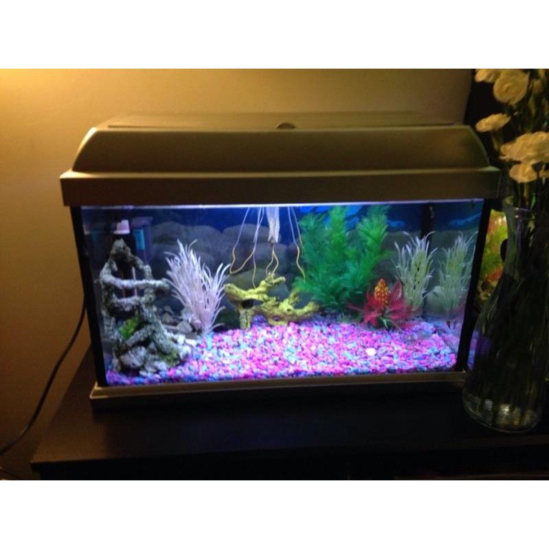 Elite style fish tank a-3581 50x25cm.