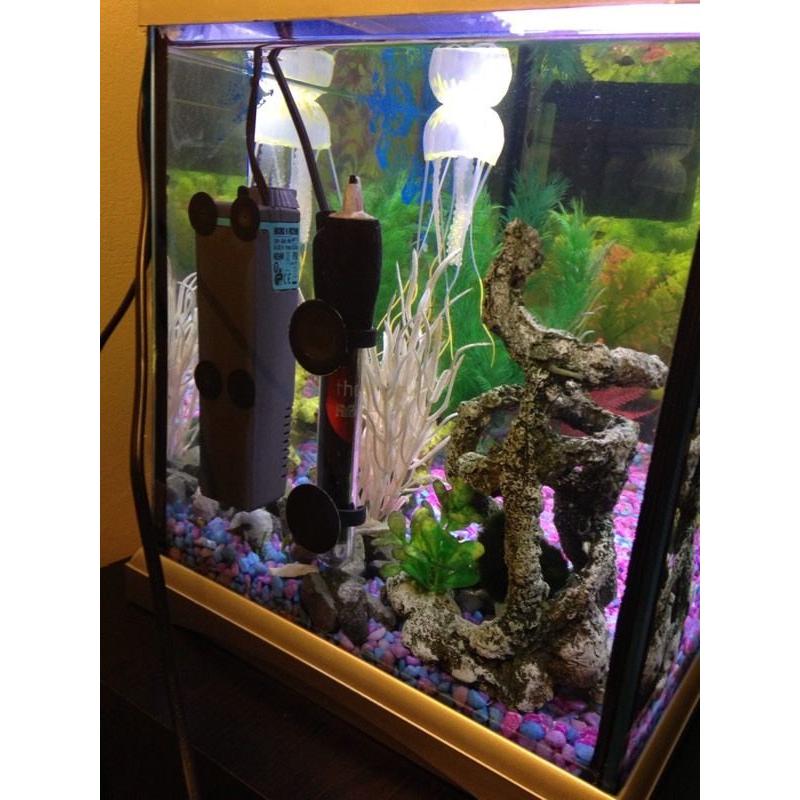 Elite style fish tank a-3581 50x25cm.