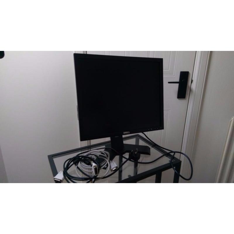 Dell 19" Monitor