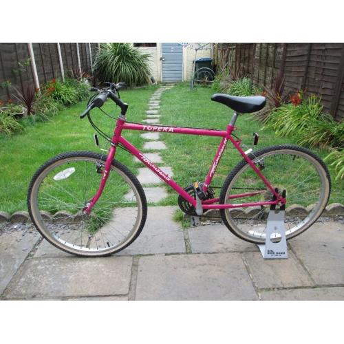 ADULTS TOWNSEND MOUNTAIN BIKE
