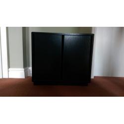 DVD/General Storage Cabinet