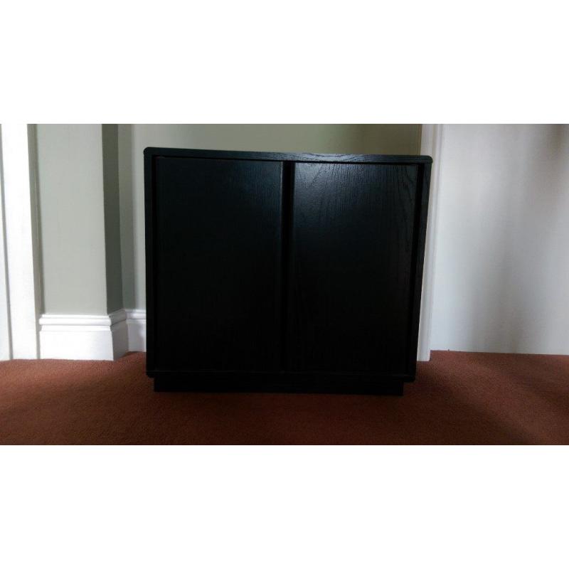 DVD/General Storage Cabinet