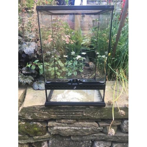 Exo terra Vivarium