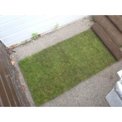 20 rolls of fresh grass from LORDS, 5ftx2ft ready now.