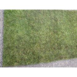 20 rolls of fresh grass from LORDS, 5ftx2ft ready now.
