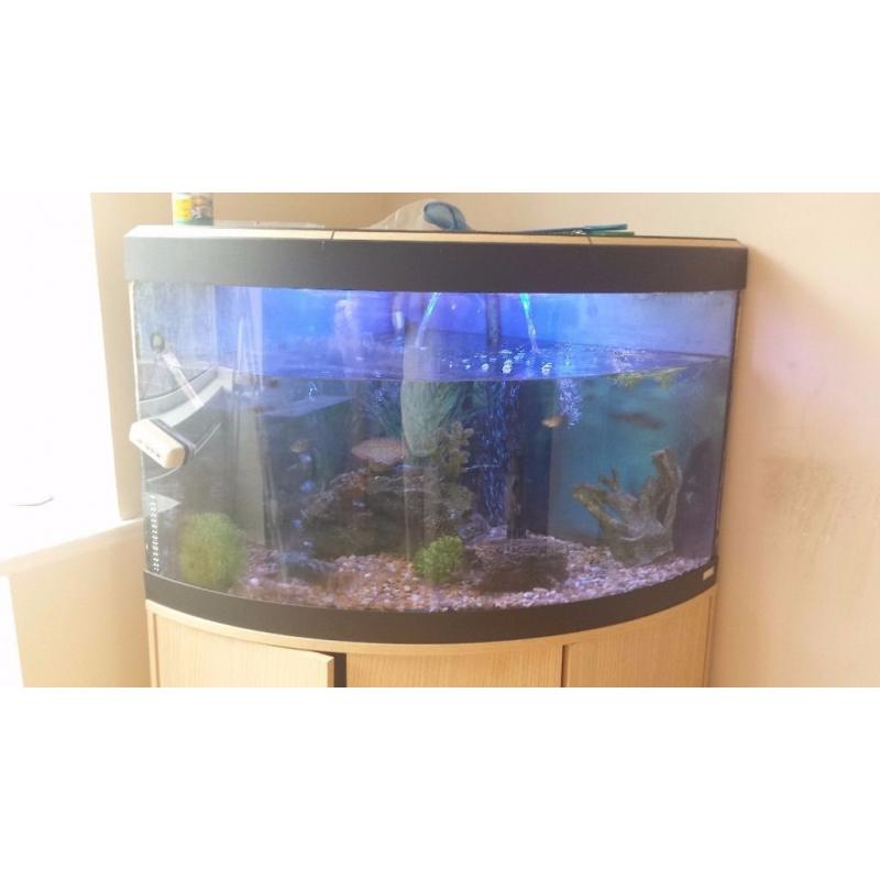 Fluval 190 corner aquarium, filter, light, heater, air pump, stand and more all included