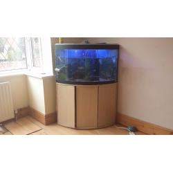 Fluval 190 corner aquarium, filter, light, heater, air pump, stand and more all included