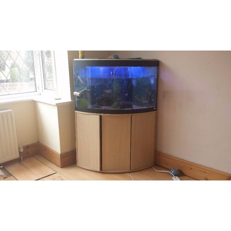 Fluval 190 corner aquarium, filter, light, heater, air pump, stand and more all included