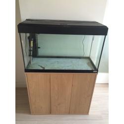 Fish Tank and Cabinet - Fluval 125L