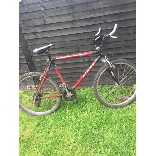 Men's mountain bike