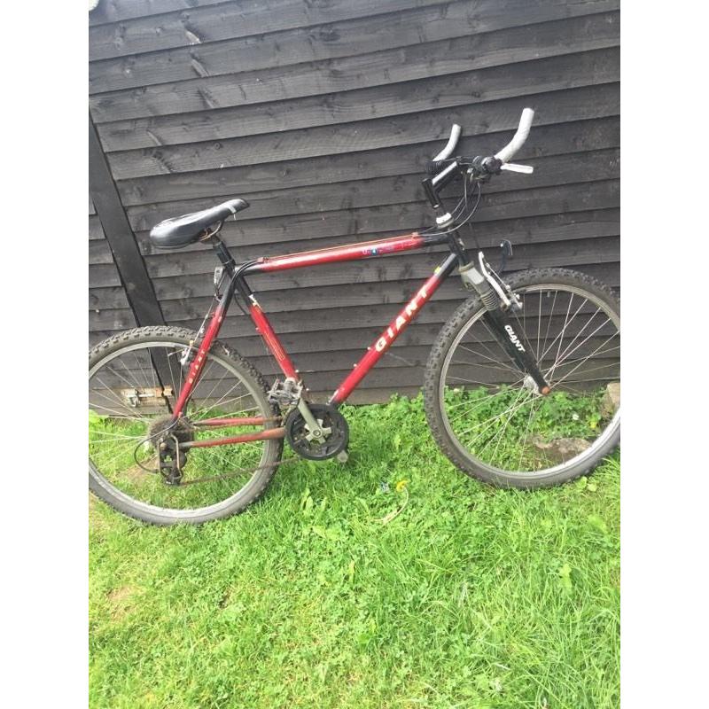 Men's mountain bike