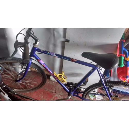 Raleigh bike