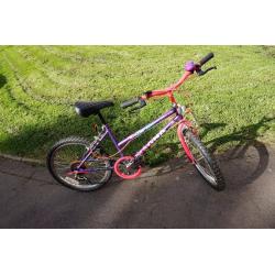 Used Echo Ridge Magna Bike. Perfect for children 8+